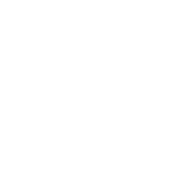 General Dynamics