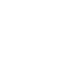 siemens.png